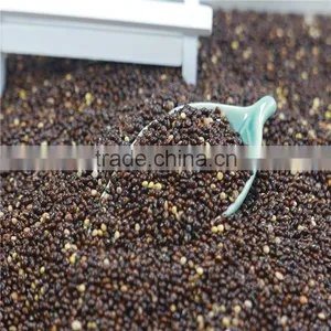 New Crop 2016 Black Broomcorn Millet Black Millet thumbnail-3