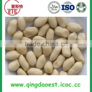 Offer Blanched Peanut for Sale From China / Long Type Red Skin China Big Size Peanut thumbnail-2