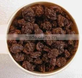 Good Xinjiang Raisin for Vinegar to First Sale thumbnail-1