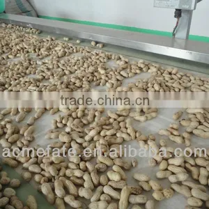 Peanut in Shell thumbnail-1