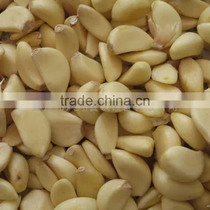 FX-128 Garlic Peeler/Shallot Peeling Machine With High Efficienty and CE Approved thumbnail-2