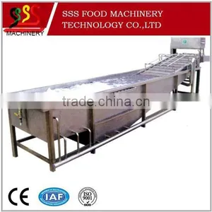 Bubble Type Vegetable and Fruit Cleaning Machine/ Washing Machine thumbnail-1