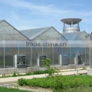 Large Roof Span PC Sheet Greenhouse thumbnail-2