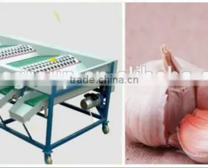 Garlic /Vegetable and Fruit Cleaning and Grading/Sorting Machine thumbnail-4