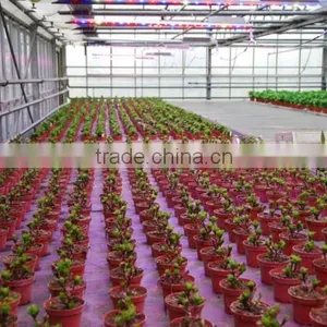 MarsHydro 23W/46W/96W Full Spectrum LED Grow Light Grow Led Panel Waterproof Plant Indoor Garden Hanging Grow Bar 120cm 60cm thumbnail-4