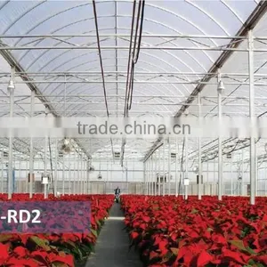 Commercial Film Greenhouse Construction thumbnail-3
