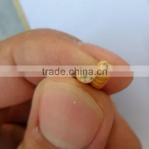 Canary Bird Feed With Long Service Life thumbnail-2