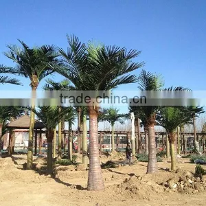 Hot Sale Artificial Coconut Tree,faux Coconut Tree thumbnail-1