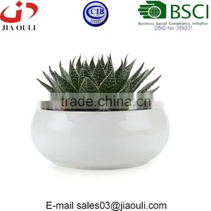 Decorative Display Bowl Round White/green Ceramic Succulent Plant Flower Planter Pot thumbnail-3