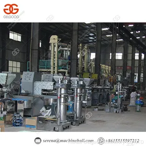 Sunflower Soybean Walnut Hydraulic Oil Press/almond Sesame Oil Presser thumbnail-2