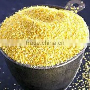 Yellow Millet thumbnail-1