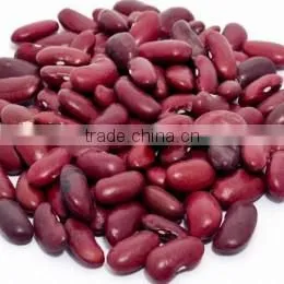 White Kidney Beans for Sale Kidney Beans Dark Red Wholesale thumbnail-2