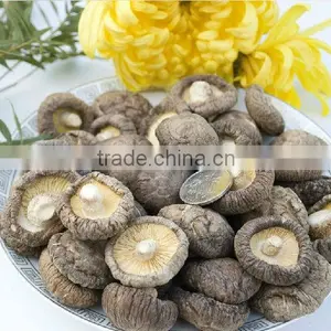 Edible Fungi Mushrooms ,Dried Shiitake Mushroom, Dried Mushrooms thumbnail-1