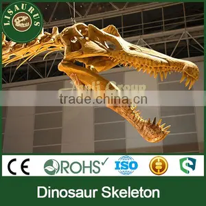 JLDF-1105 Dinosaur Fossils Science Museum Equipment thumbnail-1