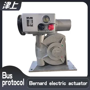 Angular Stroke Electric Actuator B+RS400/F65H Intelligent Remote Control thumbnail-1