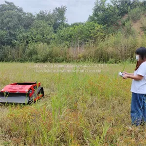 China Rc Controlled Lawn Mower With Best Price For Sale Buy Online thumbnail-3