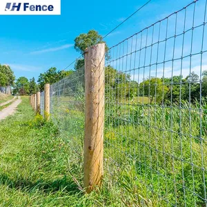 Galvanized Iron Farm Cattle Field Metal Horse/Sheep Fence Mesh for Livestock Grassland Fixed Knot Isolation Steel Wire Mesh thumbnail-6