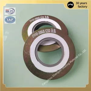 High Temperature and Corrosion Resistant DIN and ASME Standard Metal Spiral Wound Gaskets thumbnail-1