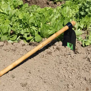 Ghana B.Cock Brand H305 1.5lb Hoe Head For Kenya Market thumbnail-1