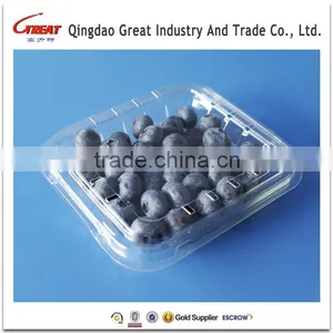 Good Quality Disposable Plastic Blueberry Fruit Packaging Container 125Gram thumbnail-6