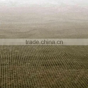 Best Salling Product Biaxial Plastic Geogrid China Suppliers thumbnail-6