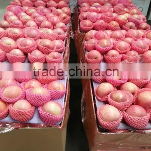 Hot Sell Red Qinguan Apples Shanxi Qinguan Apples Exporter thumbnail-2