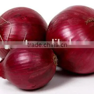 Hot Sale Fresh Red Onion With Good Quality for Sale thumbnail-1