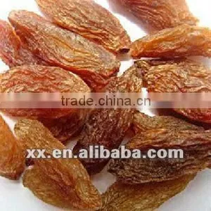 Dry Raisin thumbnail-1