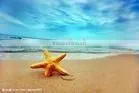 High Glossy Photo Paper thumbnail-1