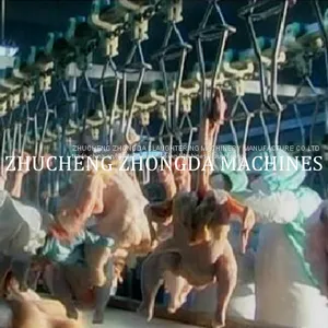 FULL CHICKEN SLAUGHTERING MACHINE Line thumbnail-3