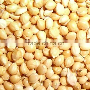 Yellow Millet In Husk Market Price thumbnail-1
