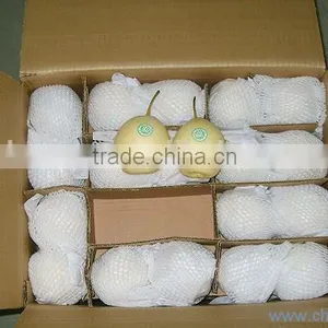 2015 Fresh ya Pear Packing in Carton With Good Quality thumbnail-5