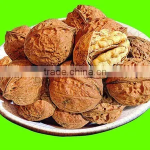 Latest Dried Walnut Kernels thumbnail-1