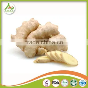 Professional Ginger Supplier Fresh Old Ginger thumbnail-3