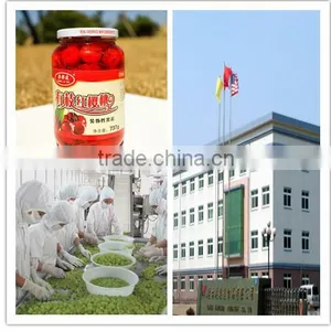 Dried Cherry With Heavy Sugar More Than 65% thumbnail-3