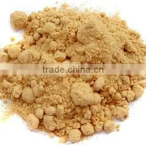 Ginger Ground thumbnail-5