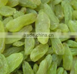 Hot Selling 100% Green Raisin thumbnail-1