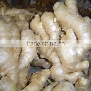 China Fresh Ginger for Sale thumbnail-4