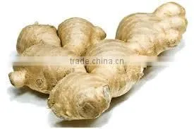 GINGER OIL BO GRADE thumbnail-2