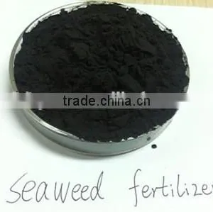 100% Water Soluble Seaweed Based Fertilizer,bio Enzyme,water Plant Fertilizer thumbnail-1