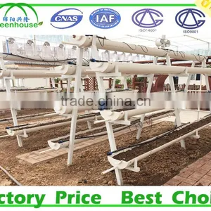 Hydroponic Systems Greenhouse for Agriculture thumbnail-4