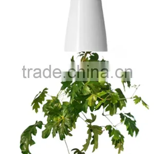 Magic Sky Planter Plastic Flower Pot Hanging Planter Plastic Flower Pot Supplier From China thumbnail-4