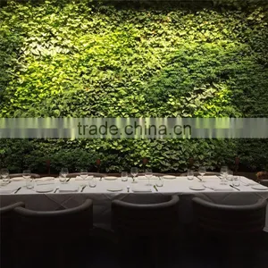 2017 Hot Sale Manufacturer Plastic Green Wall Panels for Outdoor or Indoor thumbnail-5