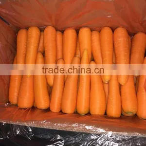 [Hot Sale]Chinese Fresh Carrot thumbnail-1