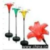 Solar Lighting thumbnail-1