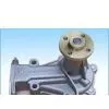 Oil Pump thumbnail-1