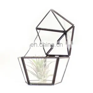 Terrarium Glass Geometric Terrarium Indoor Plants House Decoration thumbnail-3
