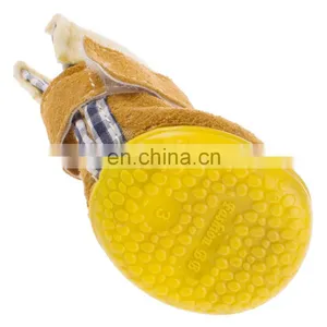 Wholesale Factory Manufacturer Clothing Diy Waterproof Custom Converse Rabbits Pet Cat Dog Shoes For Pet Dog thumbnail-2