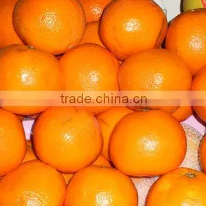 Naringin10% 95% 98%/Citrus Paradisi Extract thumbnail-1
