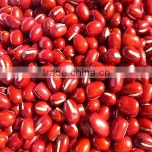 Organic Adzukin Beans thumbnail-2